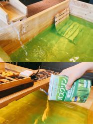 -缦spa