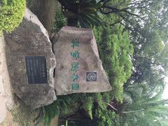 iphone_upload_pic-汉拿树木园