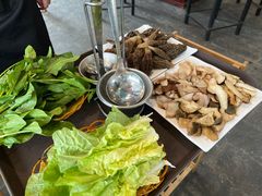 -蘑统田下·野生菌火锅