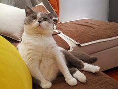 -Mr.Pizza米斯特比萨(五四广场青岛首店)