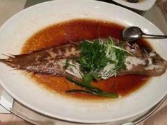 野生龙利鱼-陶陶居海鲜酒家(新马路店)