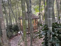 -大本营竹筒饭
