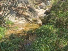 -木兰云雾山