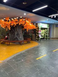 -点点梦想城(金水路店)