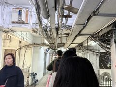 -珍妮曲奇聪明小熊(尖沙咀店)