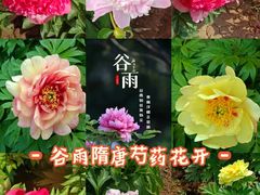 -洛阳市隋唐城遗址植物园