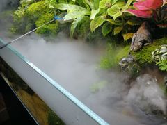 -牛品福潮汕牛肉火锅(旺庄店)