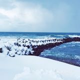 🌊小樽市小众打卡地~朝里🚞