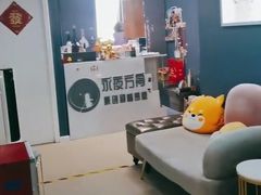 -永夜方舟·捉迷藏·二次元密室