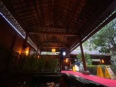 -洪湖悦兮半岛国际温泉度假村