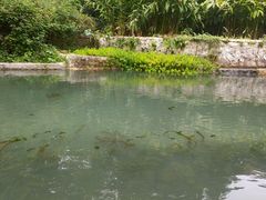 -成都市活水公园