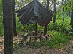 -微山湖红荷湿地景区