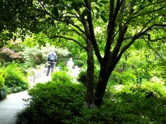 -杭州半山国家森林公园