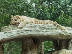 -北京野生动物园