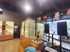 -十年猫舍·猫咪专门店(普陀店)