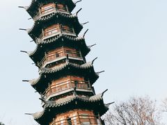 -上海佘山国家森林公园西佘山园