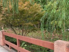 -上海滨江森林公园