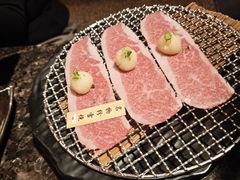 -老乾杯(深圳湾万象城店)