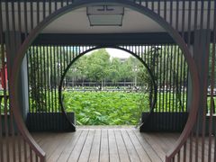 -四川大学(望江校区)