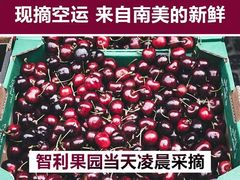 车厘子-胡家庙水果批发市场