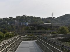-福道