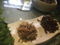 -慢丽江·云南野生菌土鸡锅(西山店)