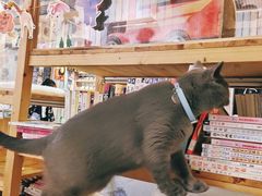 -小时光咖啡馆(开森度假森林店)