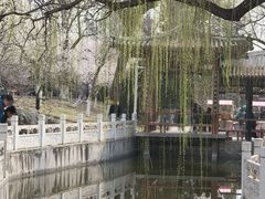 -桃花堤公园