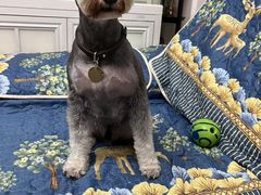 -心仪动物医院·牙专科·肿瘤·心脏科(西客站院)