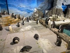 -成都浩海立方海洋公园