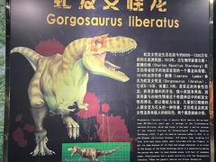 -诸城市恐龙博物馆