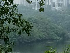 -重庆彩云湖湿地公园