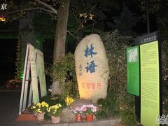 IMG_5124-山外山·林语花园餐厅