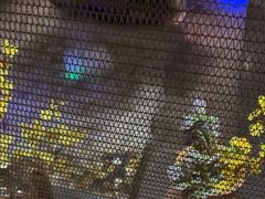 -阿伟海鲜楼·福建菜(延寿店)