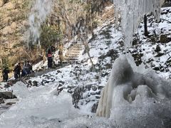 -四明山国家森林公园