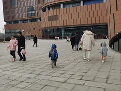 -中国宋庆龄青少年科技文化交流中心