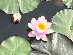 -天津水上公园