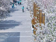 -北京奥林匹克公园
