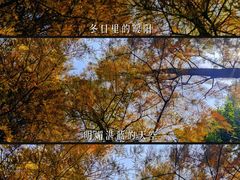 -重庆彩云湖湿地公园