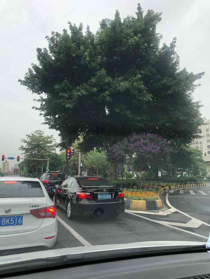 花都迎宾大道亚美大厦图片