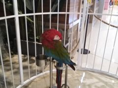 -萨莉亚意式餐厅(天河城购物中心店)