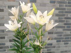 -杭州萧山国际机场