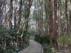 -同里国家湿地公园