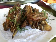 烤蒙古草原羊排-邹记·美食(斗门店)