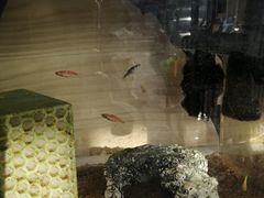 -平行世界·猫咖(首经贸店)