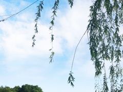 -盘门景区