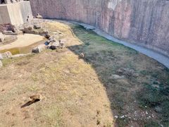 -南昌动物园