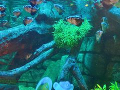 -沈阳海洋探索中心