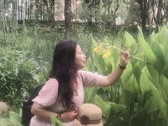 -陈家山荷花公园