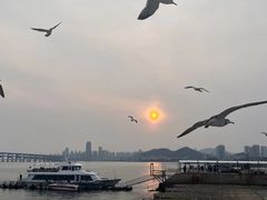 -星海广场